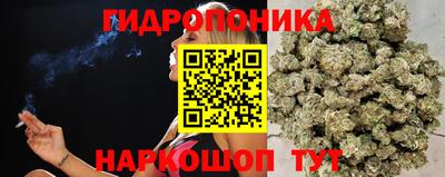индика Кумертау