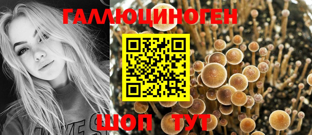 МЕТАМФЕТАМИН Димитровград