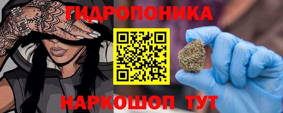 Бошки Шишки сатива  Вход с VPN  Бошки Шишки сатива  Димитровград 